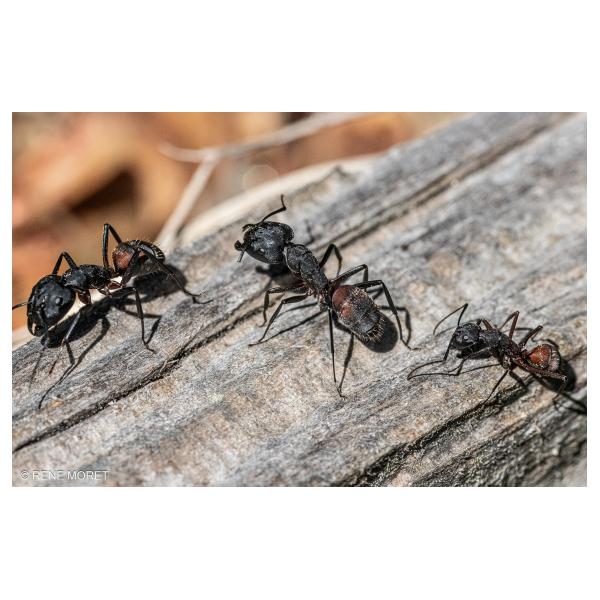 PHOTO84, CLUB, 84 , LUBERON